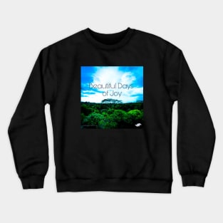 Beautiful Days of Joy Solo Tree standing among Trees Album Cover Art Minimalist Square Designs Marako + Marcus The Anjo Project Band T-Shirt Crewneck Sweatshirt